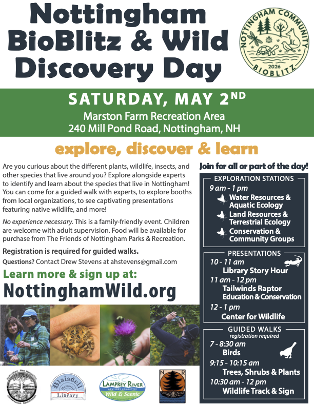 Nottingham BioBlitz & Wild Discovery Day Poster